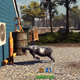 Image for article titled We Need More Games That Let You Play As Animals